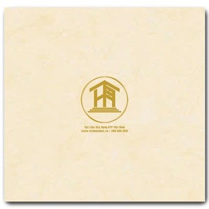 Gạch CMC 60x60cm 02S4