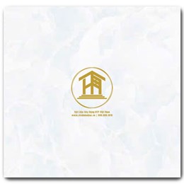 Gạch CMC 60x60cm 04S4