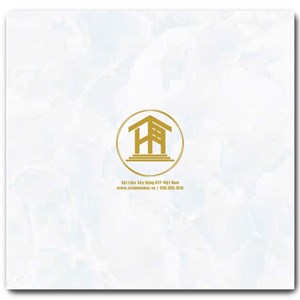 Gạch CMC 60x60cm 04S4