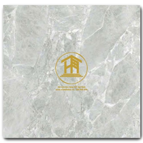 Gạch CMC 60x60cm 05S4
