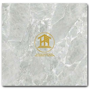 Gạch CMC 60x60cm 05S4