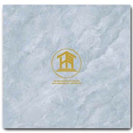 Gạch CMC 60x60cm 06S4