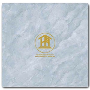 Gạch CMC 60x60cm 06S4