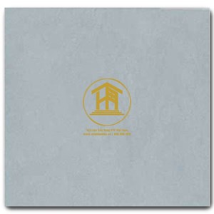 Gạch CMC 60x60cm 07S4