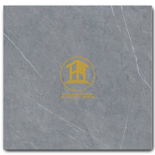 Gạch CMC 60x60cm 08S4