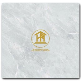 Gạch CMC 80x80cm 147S4