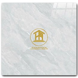 Gạch CMC 60x60cm 148S3