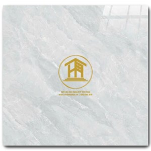 Gạch CMC 60x60cm 148S3
