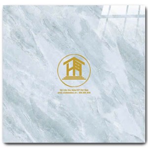 Gạch CMC 60x60cm 151S3