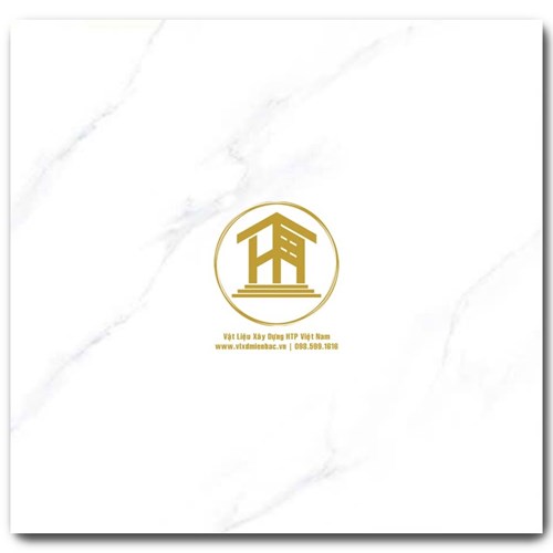 Gạch CMC 60x60cm 152S3