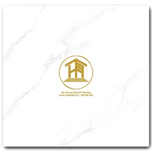 Gạch CMC 60x60cm 152S3