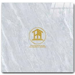 Gạch CMC 60x60cm 153S3