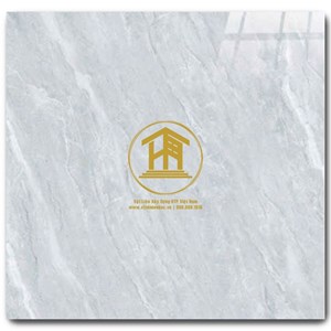 Gạch CMC 60x60cm 153S3