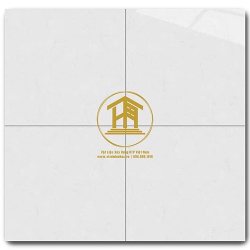 Gạch Vitto 60x60cm 3524