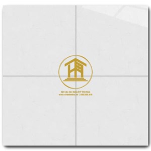 Gạch Vitto 60x60cm 3524