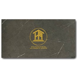 Gạch Vitto 30x60cm 26510