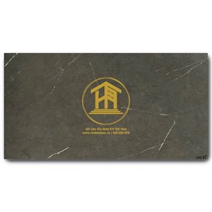 Gạch Vitto 30x60cm 26510