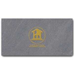 Gạch Vitto 30x60cm 26513