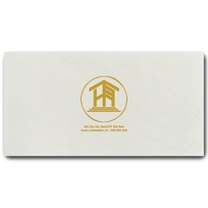 Gạch Vitto 30x60cm 26804