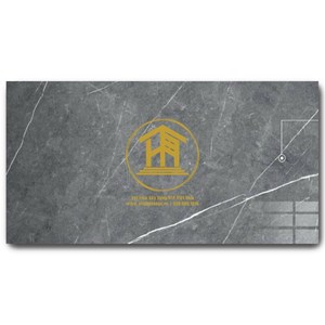 Gạch Vitto 30x60cm 02836