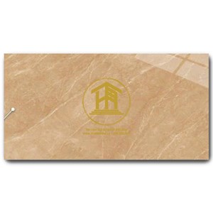 Gạch Vitto 30x60cm 02846